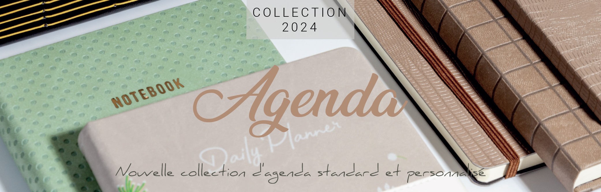 Agenda